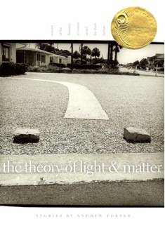 Considering The Theory of Light and Matter