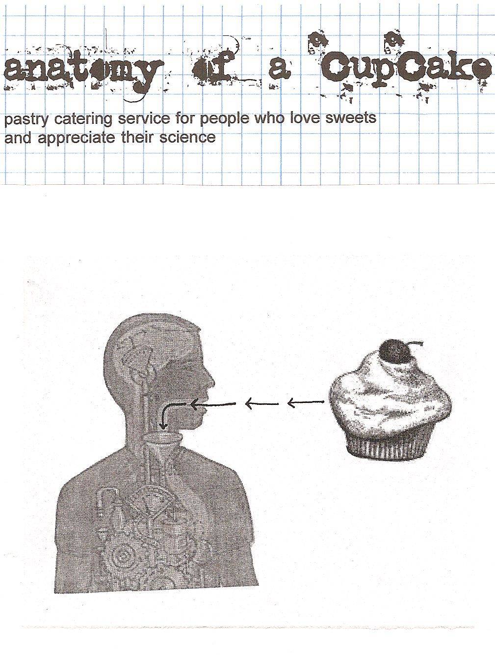 Coming Soon: Anatomy of a Cupcake