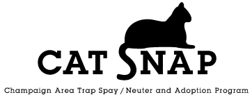 Catsnap benefit this Saturday features a dandy lineup