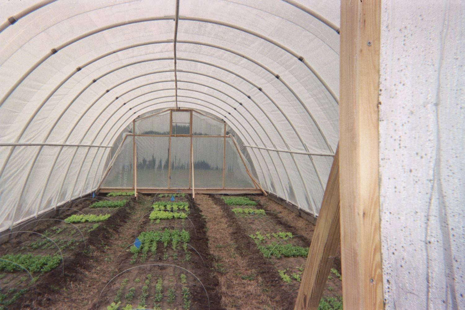 University Farm to Grow … Food!