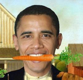 (In)Tending Obama’s garden