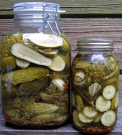 The quest for crunchy dill pickles