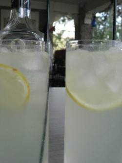 Cocktails 101: The Tom Collins