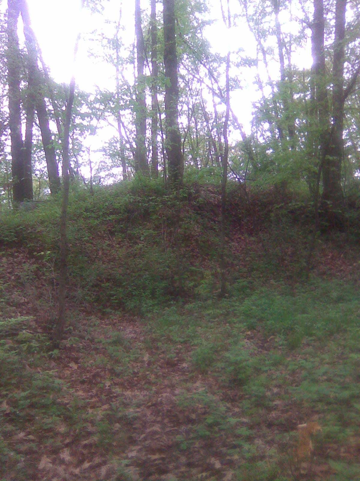 Indian Springs Mound