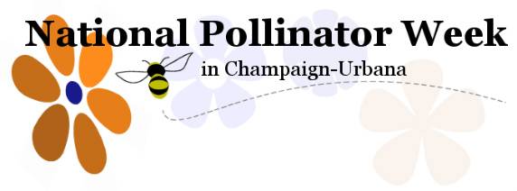 SP Radio Podcast: National Pollinator Week