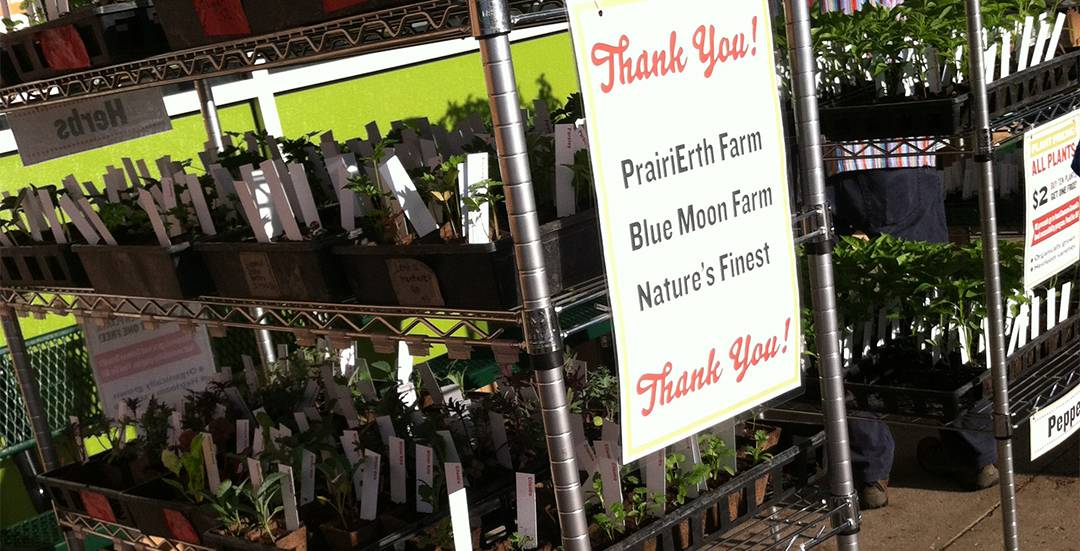 Support Food For All at Common Ground’s Plant Sale
