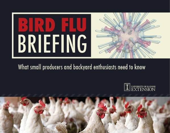 U of I Extension hosted a conference call about bird flu in Illinois