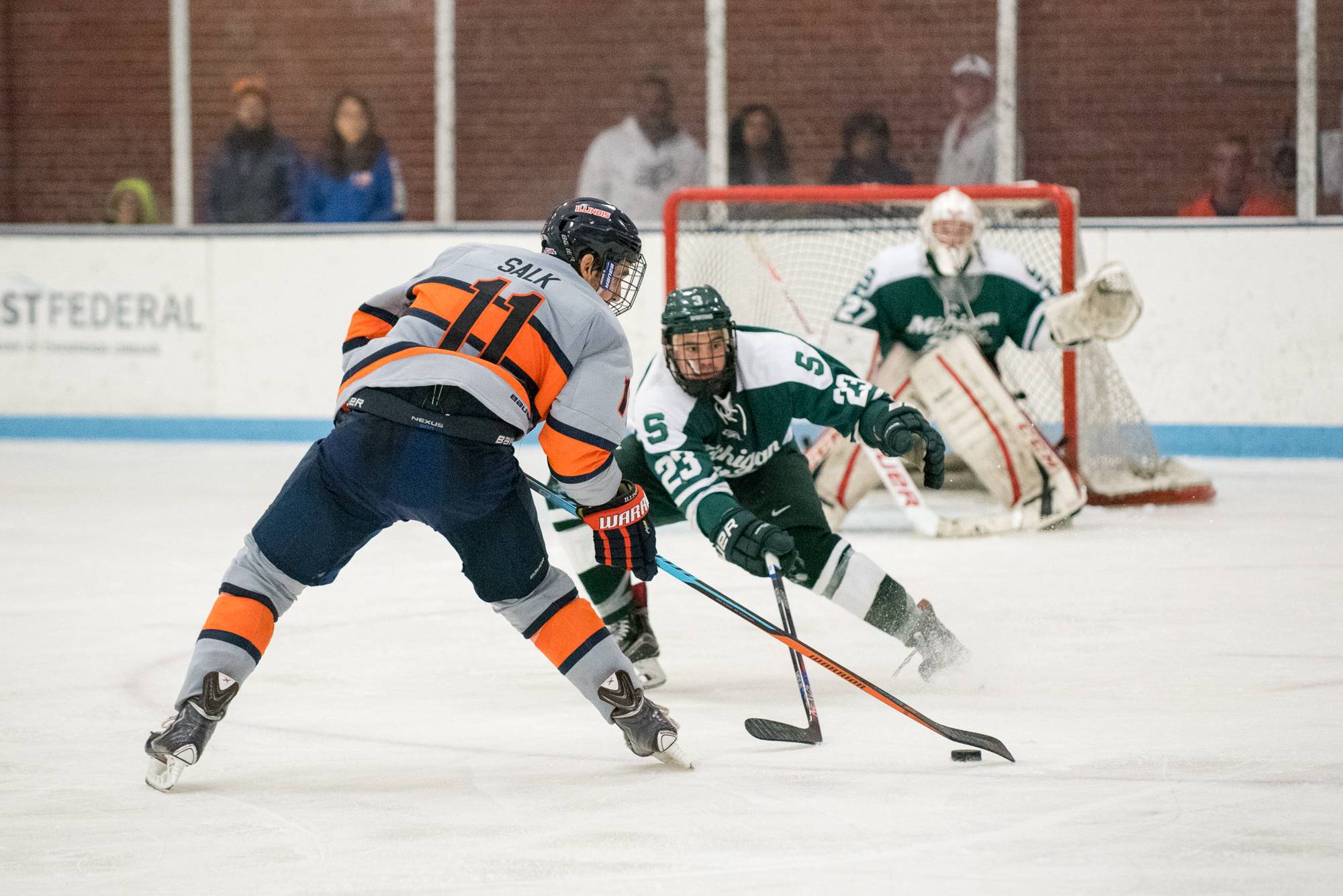 Illini hockey sweeps opening weekend against MSU