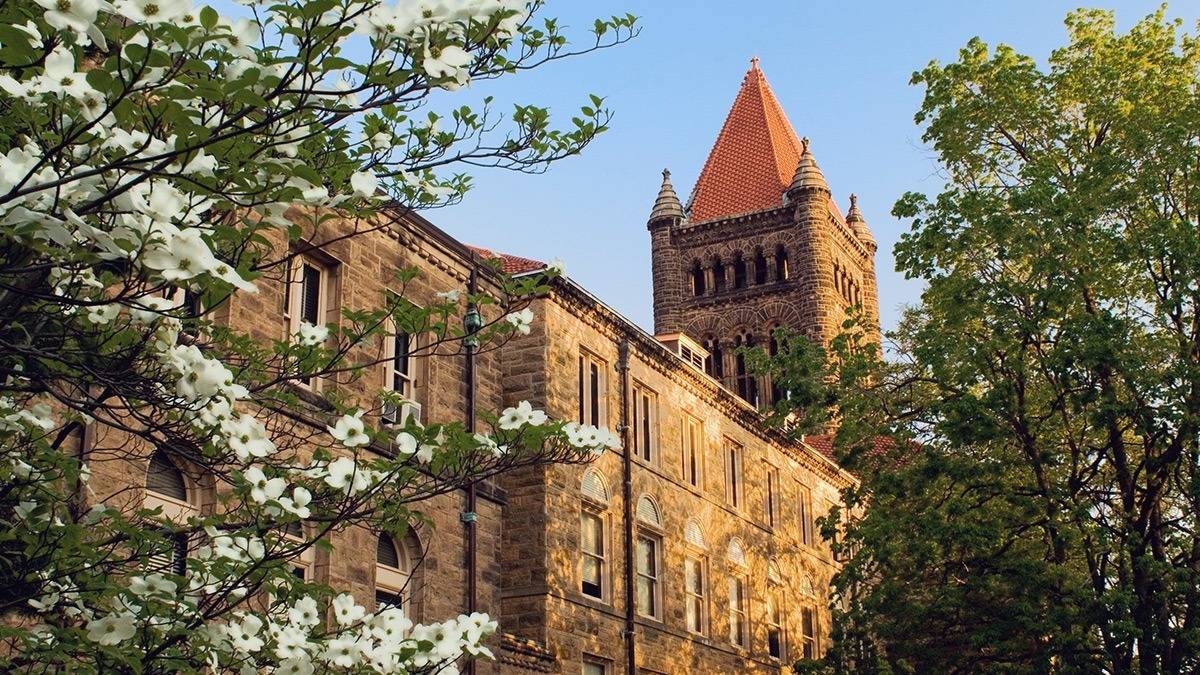 Play the Altgeld Hall chimes at home