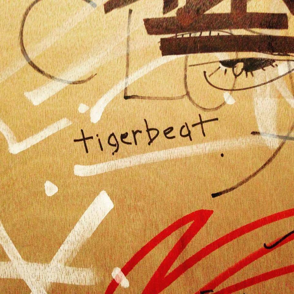 Tigerbeat “breaks” into new album