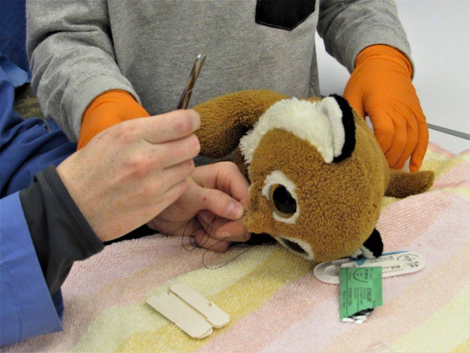 A stuffed animal (possibly a tiger) is being repaired with sutures by a white person wearing scrubs, as a child wearing orange gloves looks on and holds the stuffed animal.