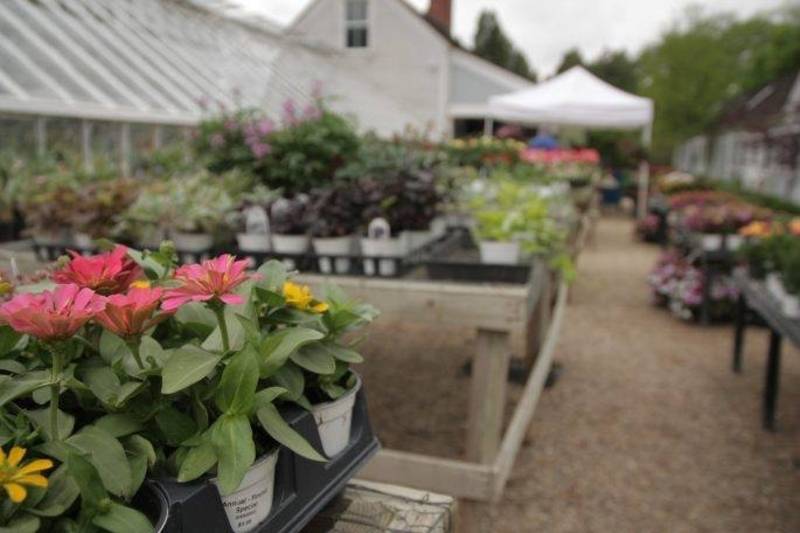 Allerton’s Annual Plant Sale is happening May 4-6