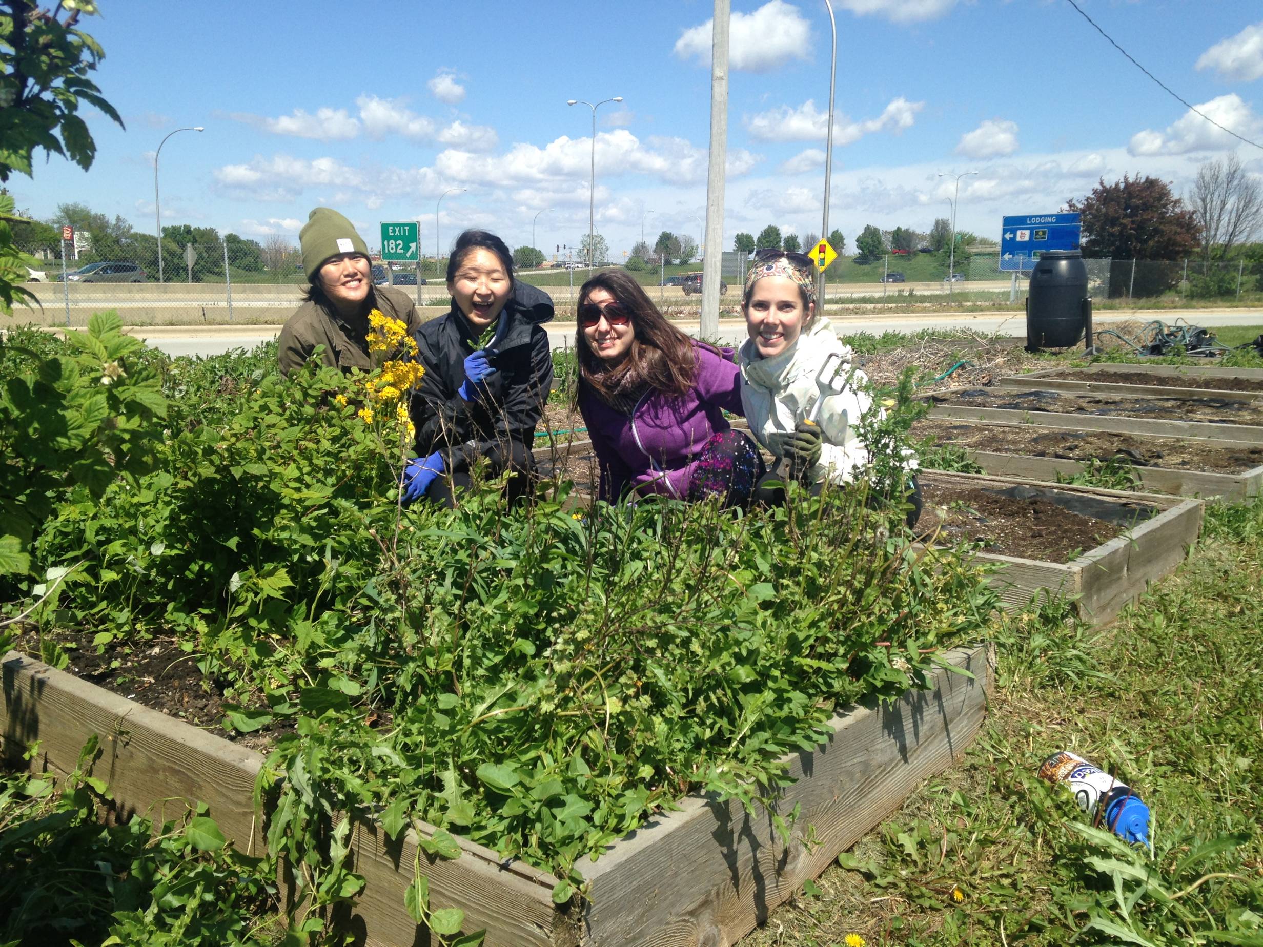 C-U Public Health District garden gives back to the community