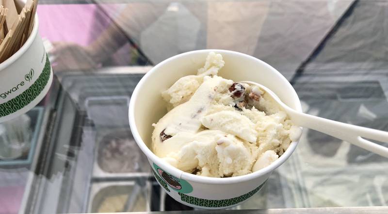 I tried The Dash ice cream, and here's what I thought - Smile Politely —  Champaign-Urbana's Culture Magazine