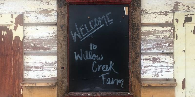 The journey to Willow Creek Farm