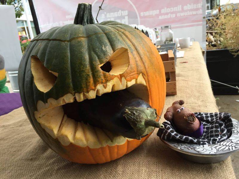A carved jack-o-lantern that looks like it is eating an eggplant.