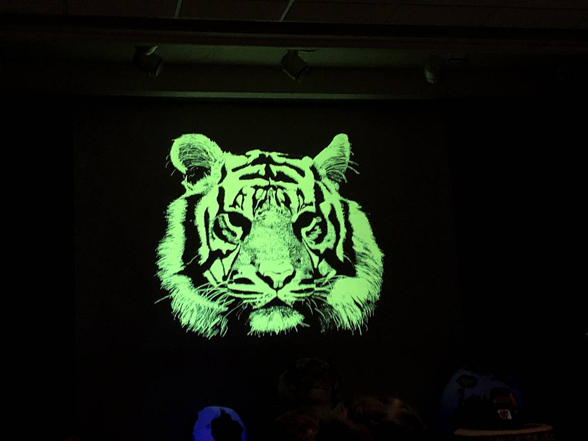 Art as activism: Weaver educates audiences with TIGER