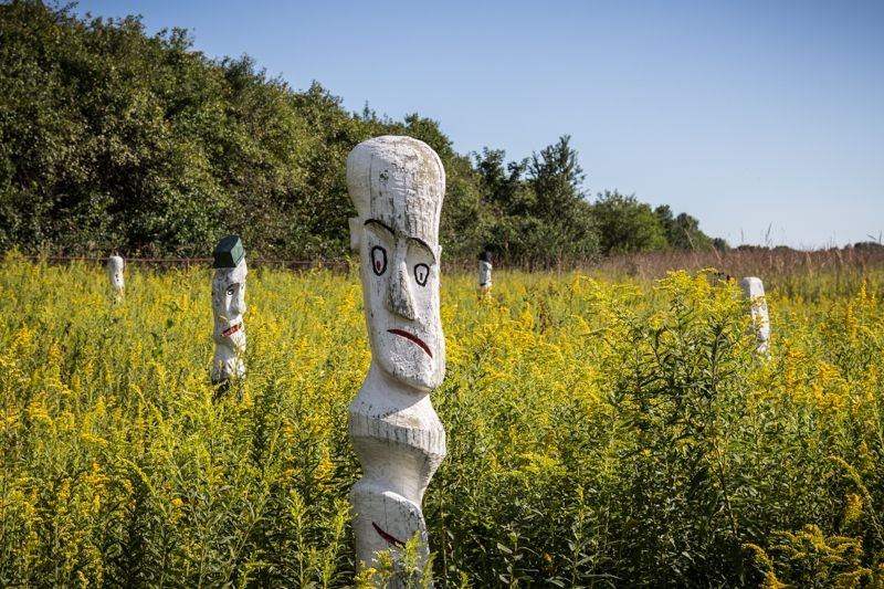 A meadow with tall grasses. There are four stone statues with faces that jut out of the meadow. In the background there is a line of green leafy trees. 