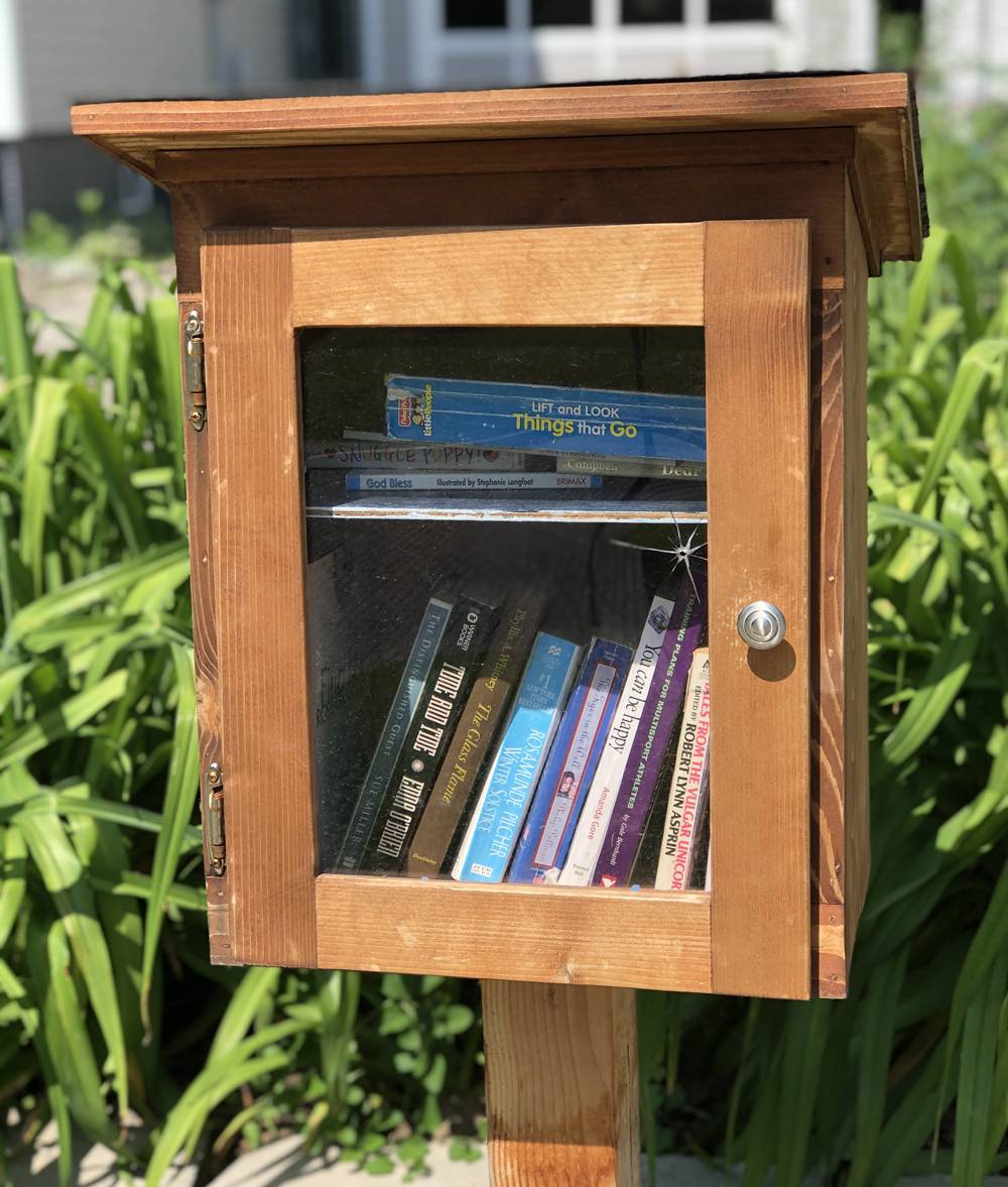 A wood little library with a glass door. It is pictured in front of some tall green plants.