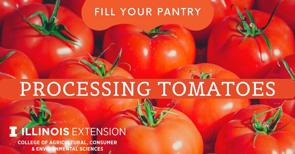 Learn how to preserve fresh tomatoes, thanks to University of Illinois Extension