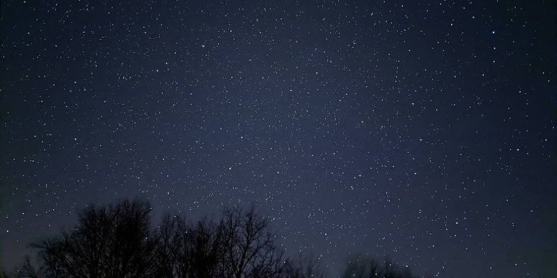 A dark sky that is dotted with stars. There are black silhouettes of trees along the horizon.