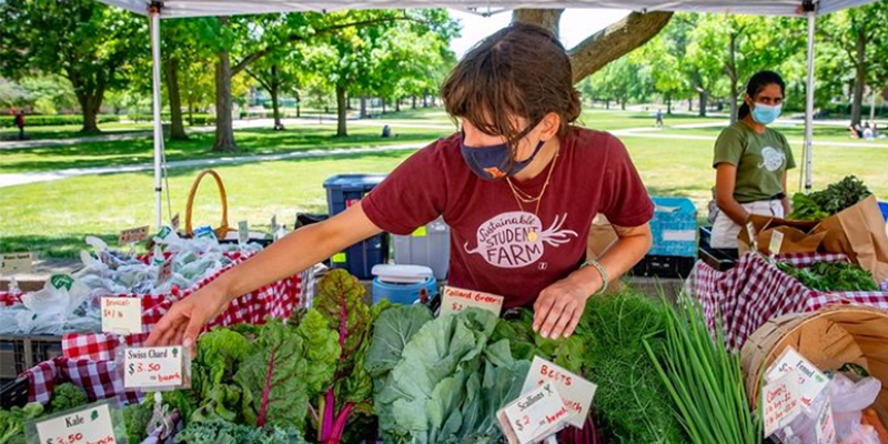 Sustainable Student Farm to set up on the Quad on Thursdays this summer