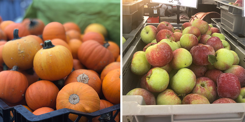 Pumpkin versus apple: which fall flavor is best?