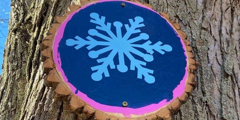 A wooden disc painted with a dark blue background and light blue snowflake design is nailed to a large tree trunk.