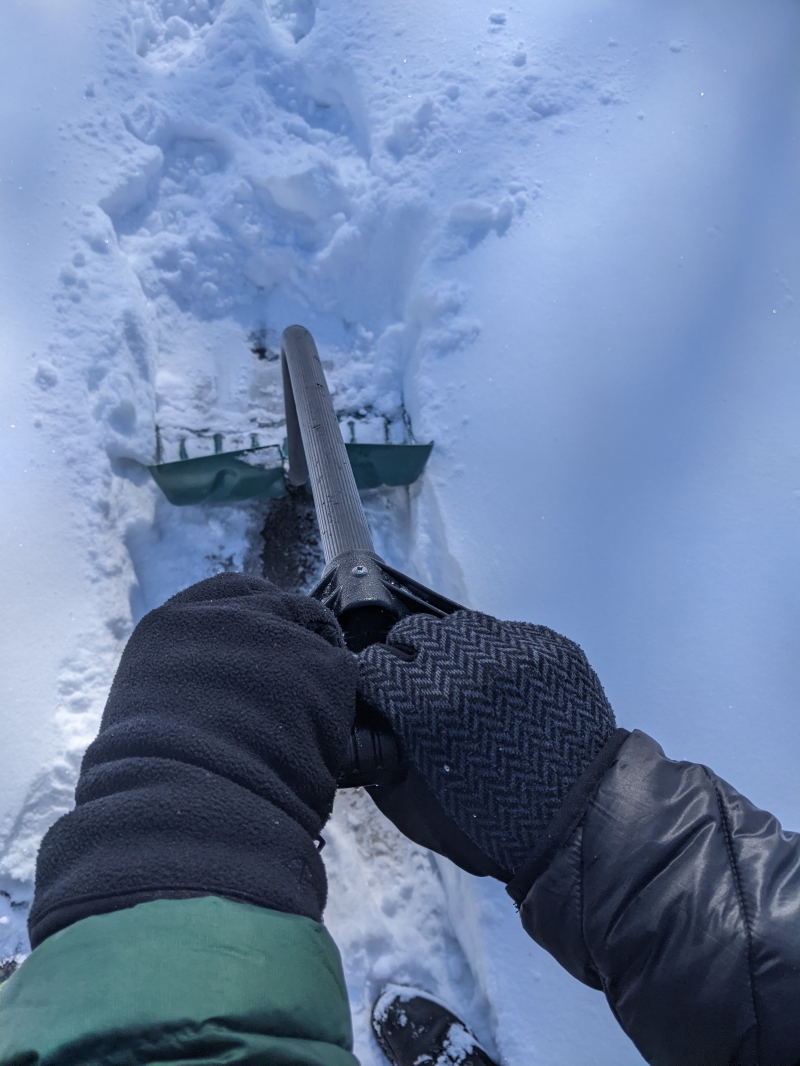 Two gloved hands holding a shovel and pushing it through the snow. Photo by Tom Ackerman.