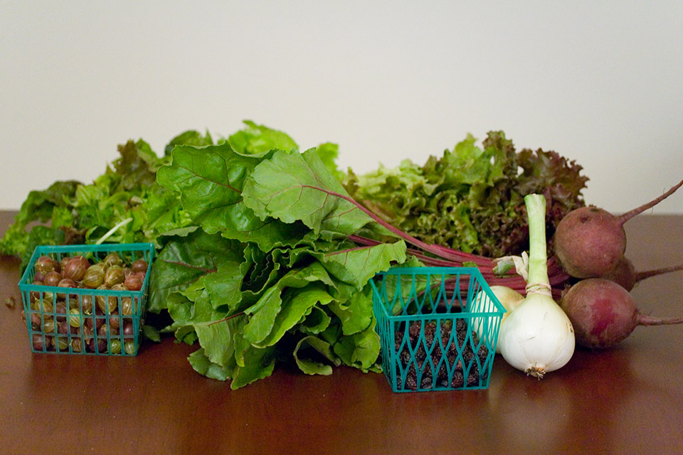 On a brown wooden counter, there is a May box of CSA from Brackett Farm. Photo by Brackett Farm.