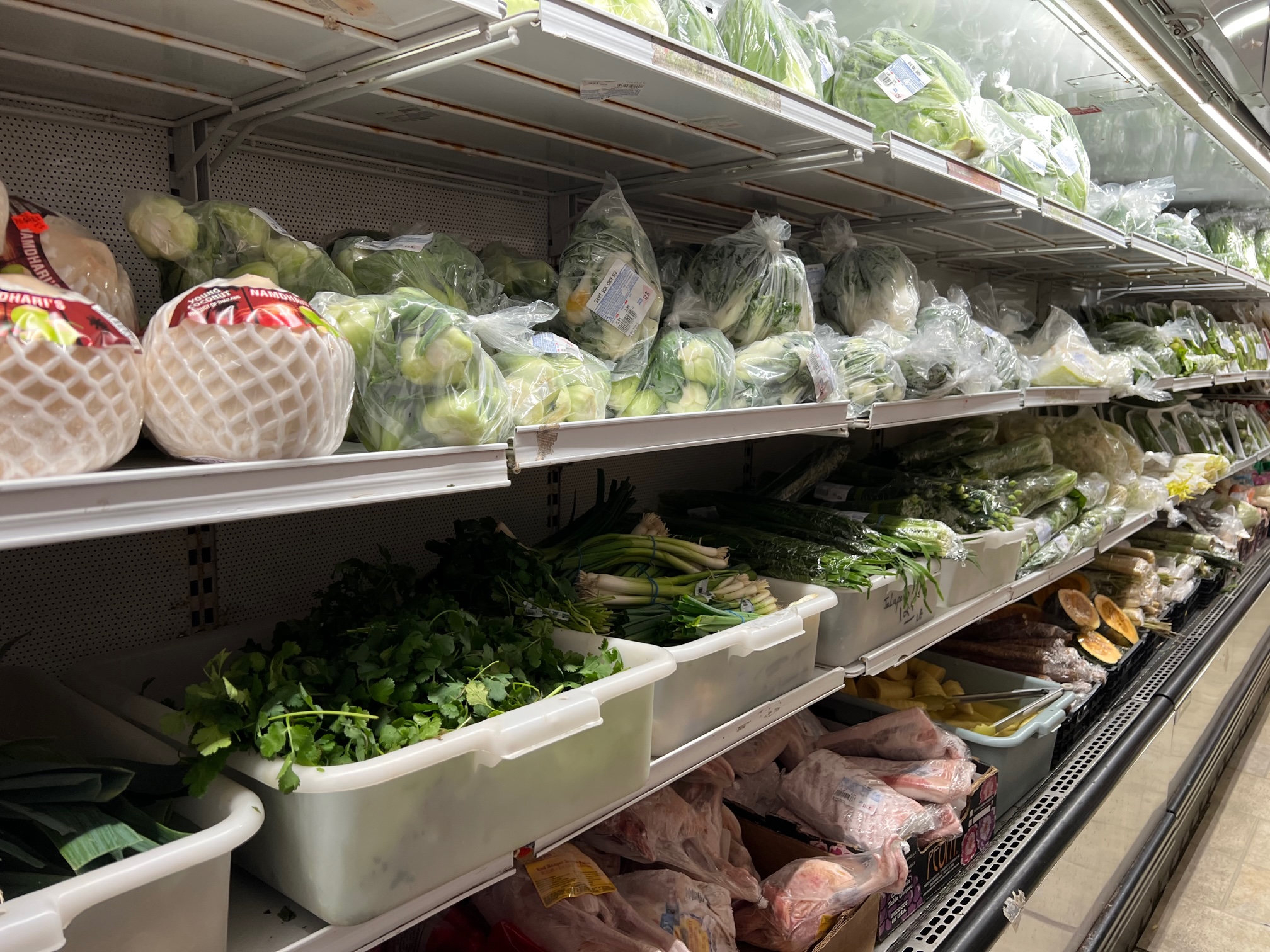 There are shelves with white plastic bins of produce in a cooler case at Far East Grocery. Photo by Alyssa Buckley.
