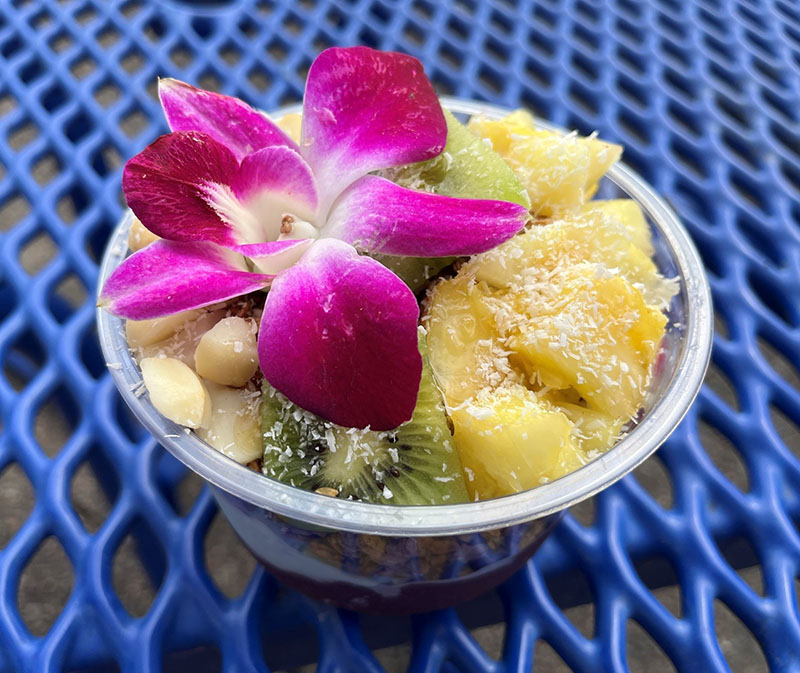 A photo of a clear plastic bowl sitting on a blue mesh picnic table. Layers of Blue Majik and acai fill the bottom of the bowl. Pieces of pineapple, slices of kiwi, chopped macadamia nuts, and a bright fuchsia orchid are visible on top. The fruit is dusted with coconut flakes and a wooden spoon sticks out to the side. Photo by Julia Freeman.