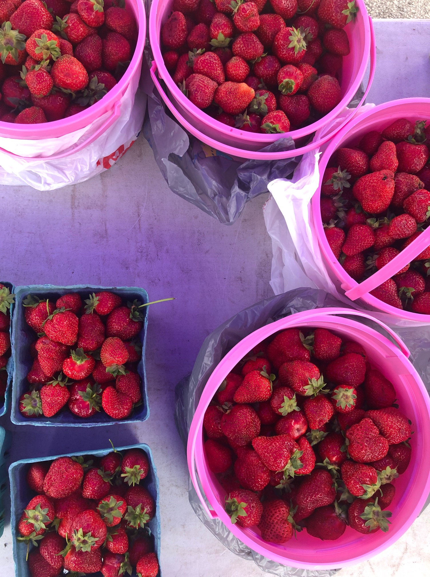 An overhead photo shows giant buckets of Illinois-grown strawberries beside a few small blue square containers of strawberries for sale.  Photo by Alyssa Buckley.