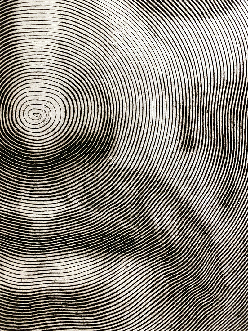 Detail from digital rendering of Veronica's Veil showing the continuous circle line.