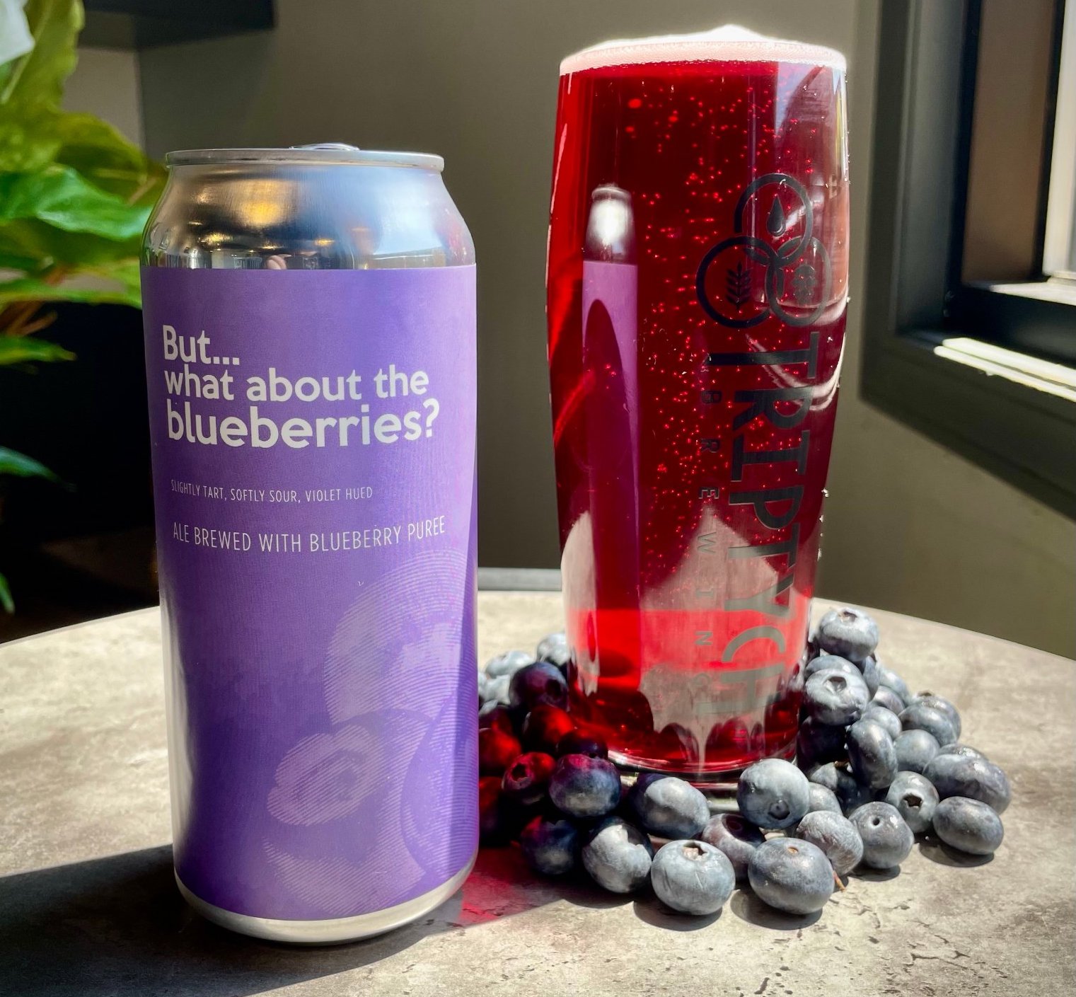 Triptychâ€™s BUTâ€¦WHAT ABOUT THE BLUEBERRIES? beer in a tall, purple can is on a table next to the beer in a tall glass. There are blueberries on the table around the glass. Photo from the Triptych Facebook page.