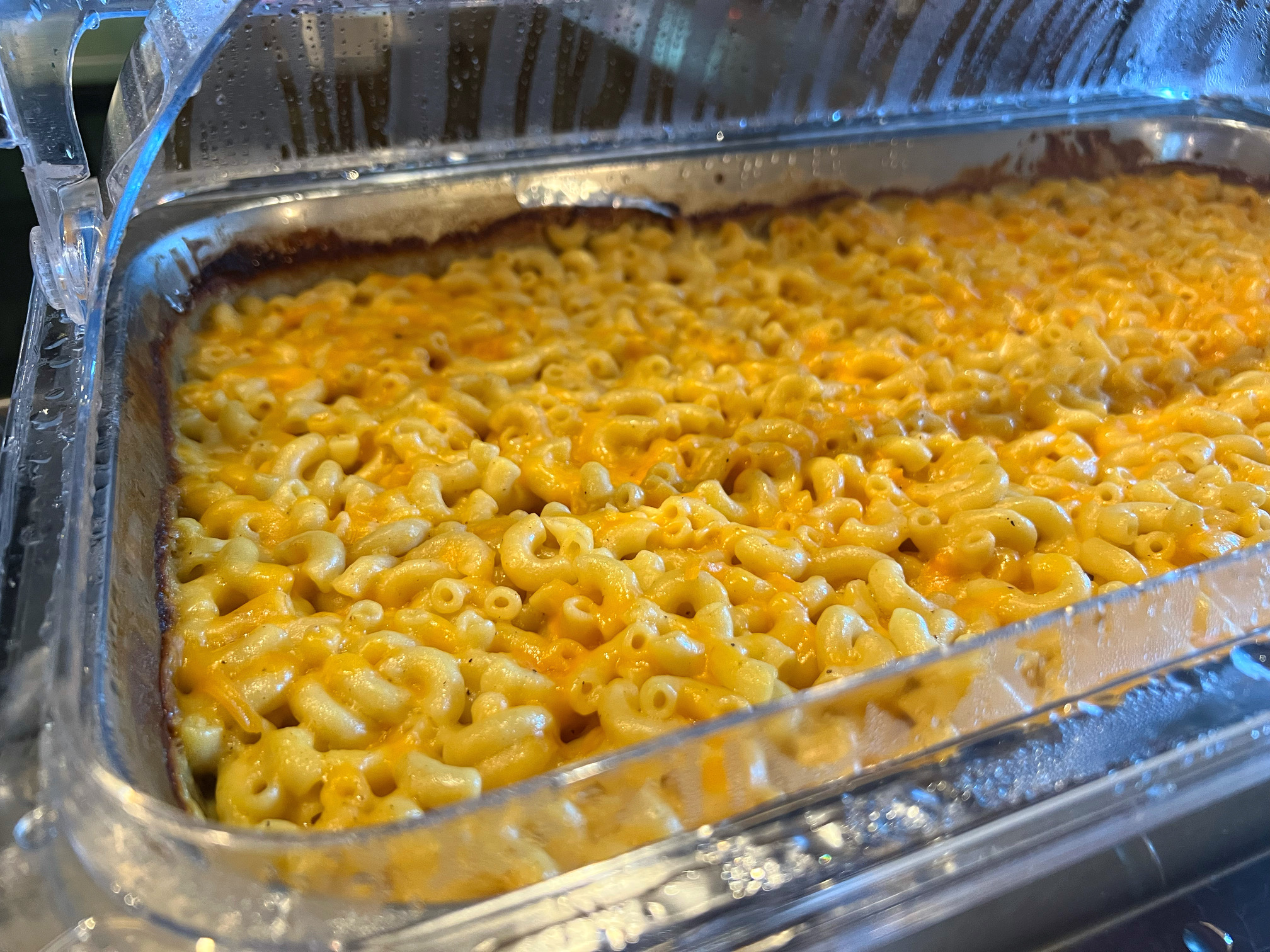 In a giant metal pan, there is a large tray of macaroni and cheese. Photo by Alyssa Buckley.