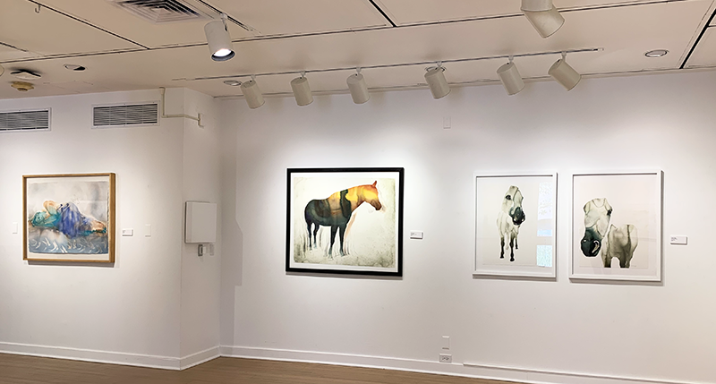 A wide shot of Carol Carter's paintings of horses.