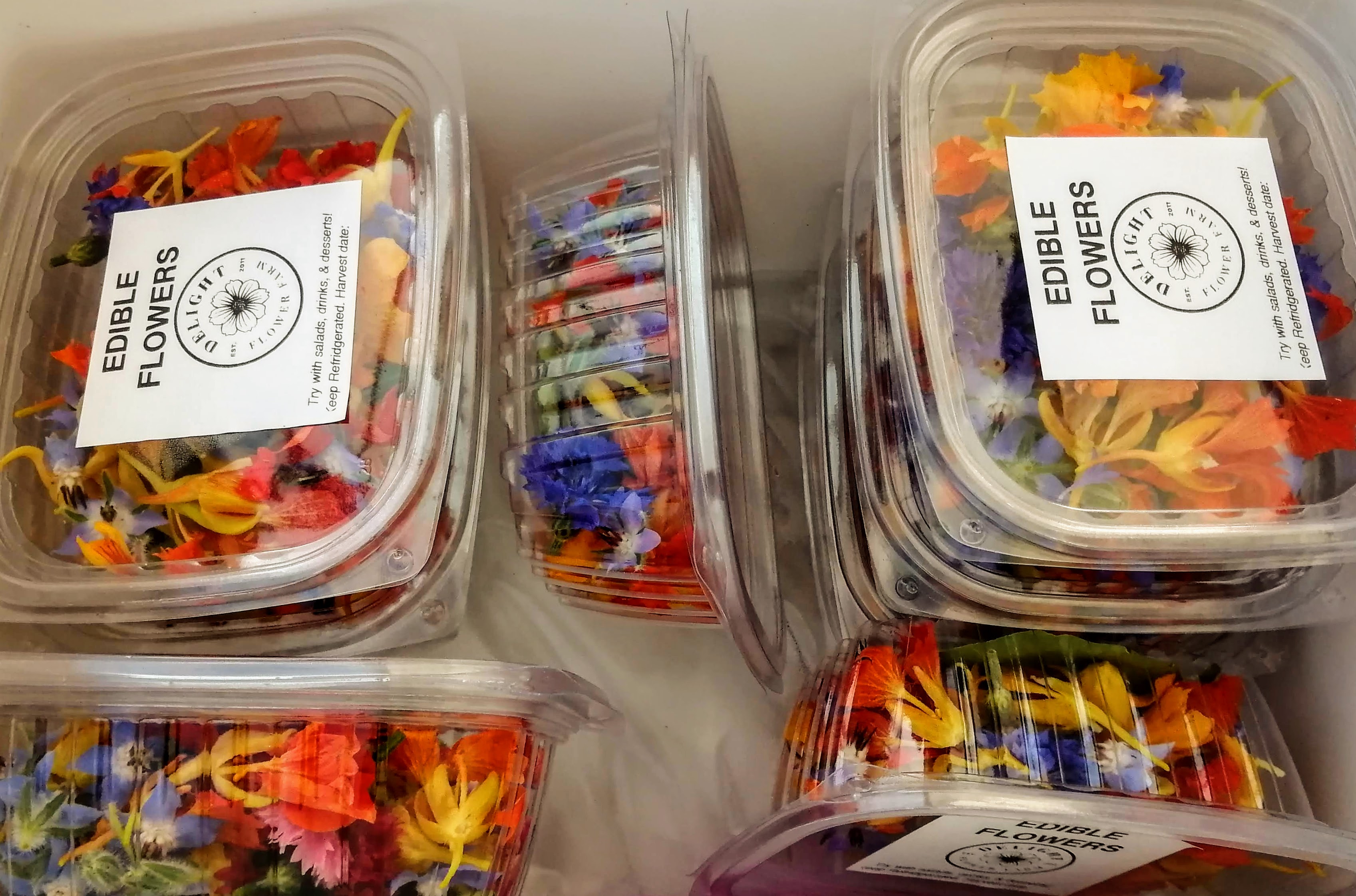 The inside of a cooler filled with packages of colorful editable flowers. Photo by Paul Young.