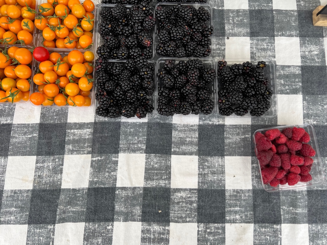 On a black-and-white checkered tablecloth, there are containers of cherry orange tomatoes, blackberries, and raspberries. Photo by Alyssa Buckley.