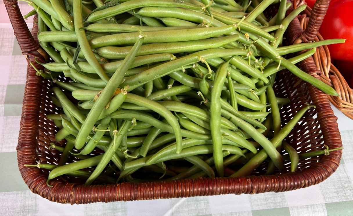 Green beans are in a brown woven basket for sale at the market. Photo by Alyssa Buckley.