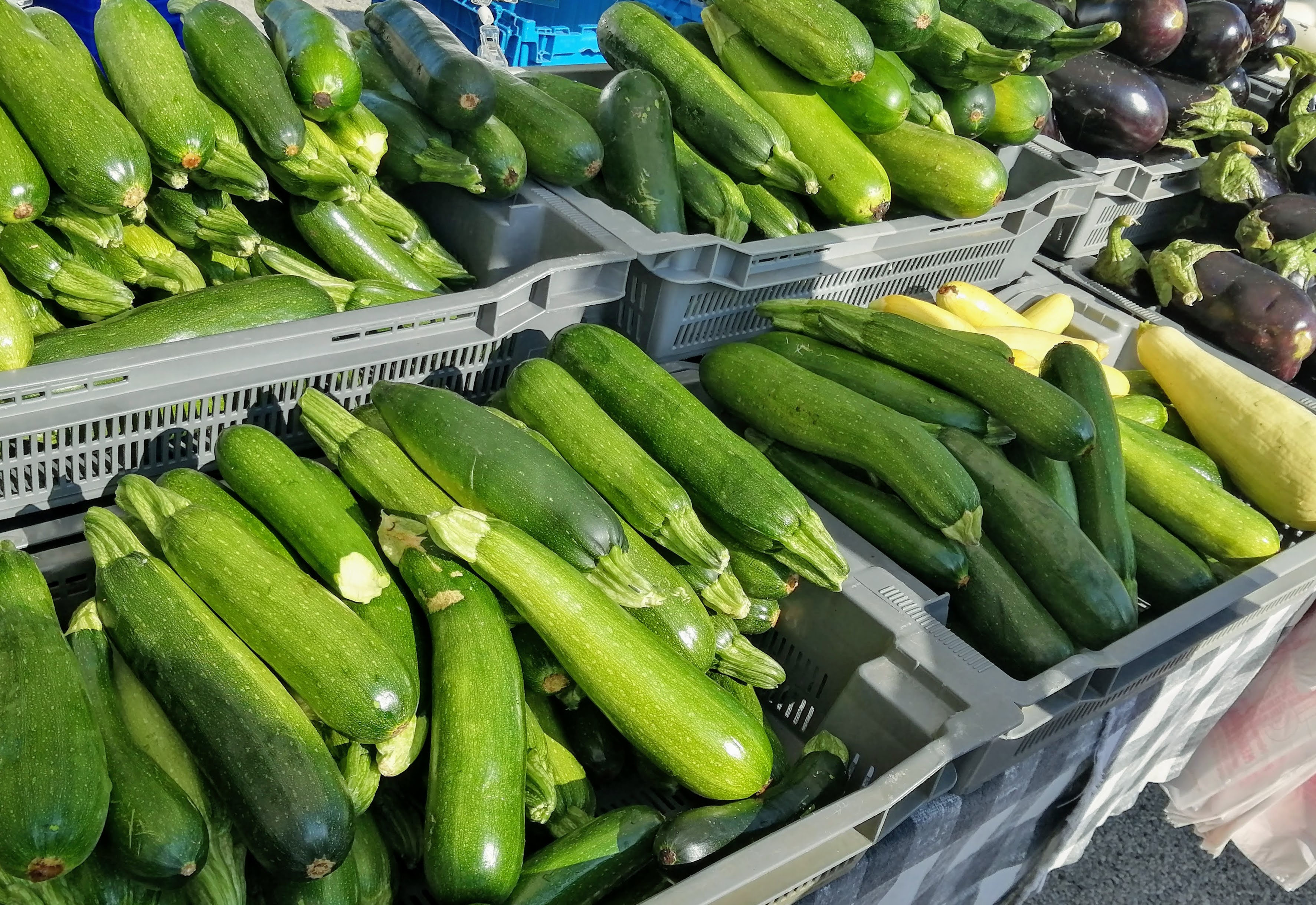 A display of green zucchinis and yellow squash for sale. Photo by Paul Young.
