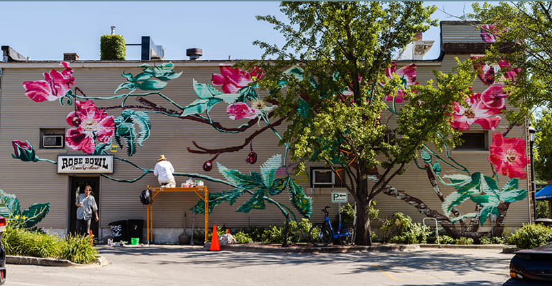 Muralist Kinsey Fitzgerald at work on her mural on the side exterior wall of the Rose Bowl Tavern featuring deep pink and white prairie roses. 
