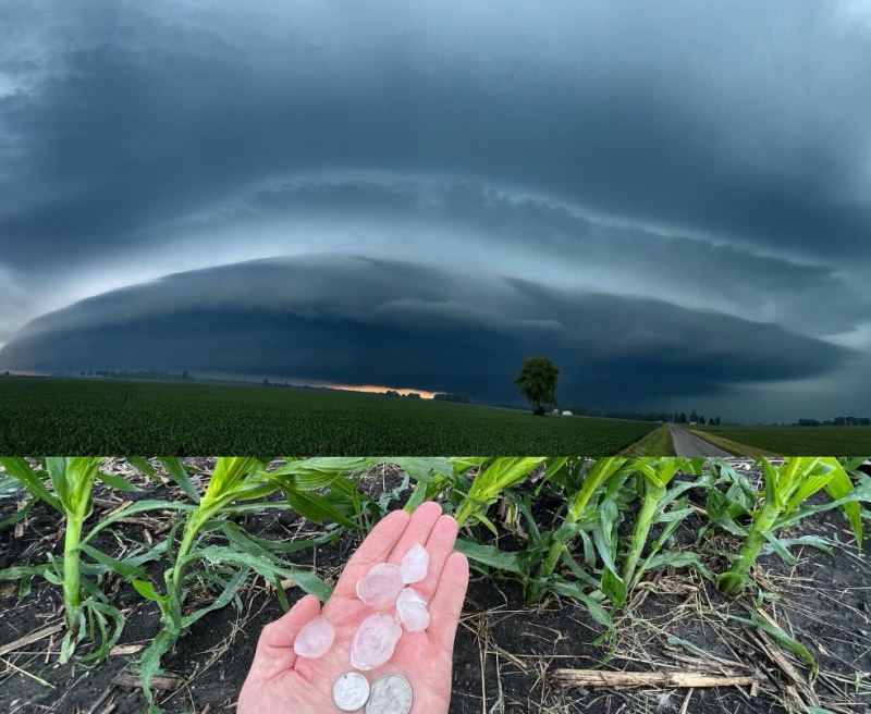 Two images stacked on top of one another. The top image is of a dark storm cloud bowing across the sky over a field. The bottom image is a close up of a hand holding several small hail stones. Photos by Andrew Pritchard. 