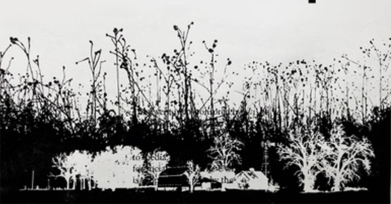 Black and white print of prairie plaints.