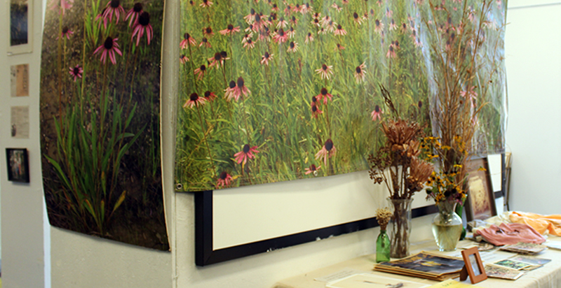 Enlarged prints and banners of fields of coneflowers hang on the walls. A table is covered with smaller photos, native flowers in vases, and other items for viewing and sale. 