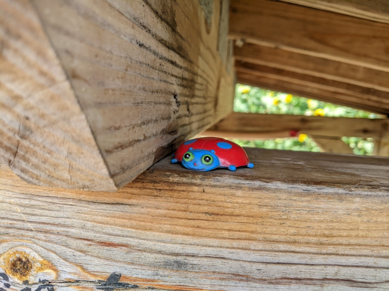 A small, painted ladybug sits on a wooden beam. Photo by Andrea Black.