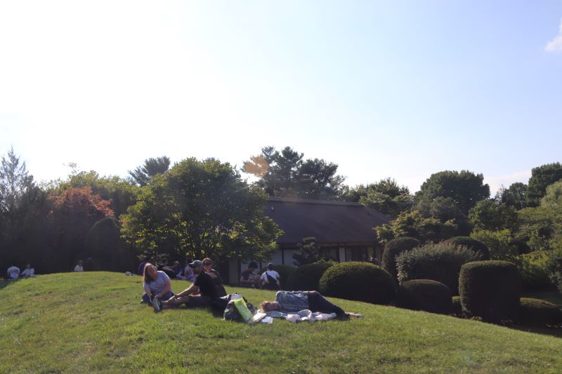 Slightly in the distance, a group of people sits on a grassy hill. There are trees and the front facade of Japan House in the background. The sky is clear blue with bright sun. Photo by Maddie Rice.