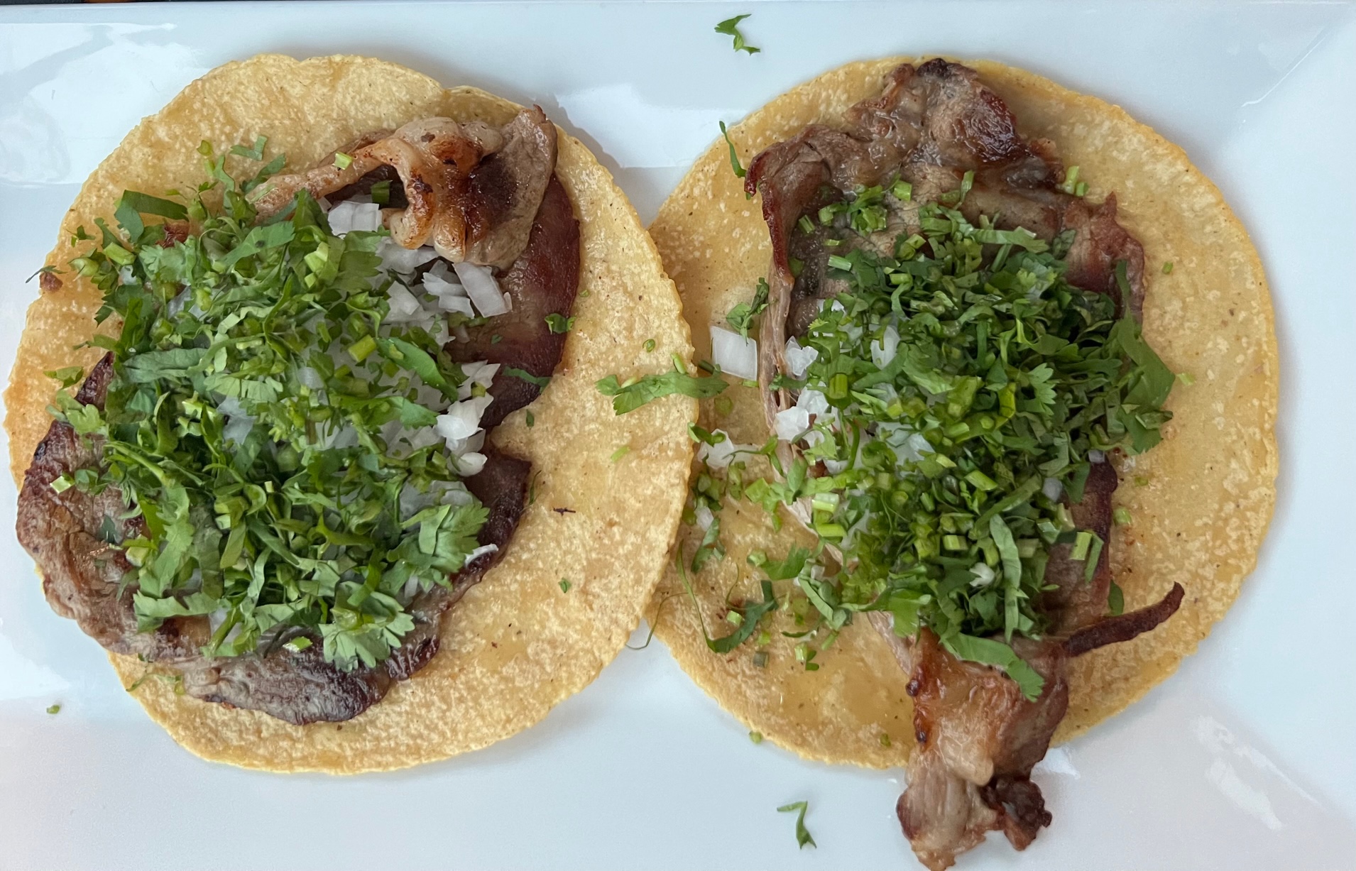 On a white plate, there are two ribeye tacos on corn tortillas. Photo by Alyssa Buckley.
