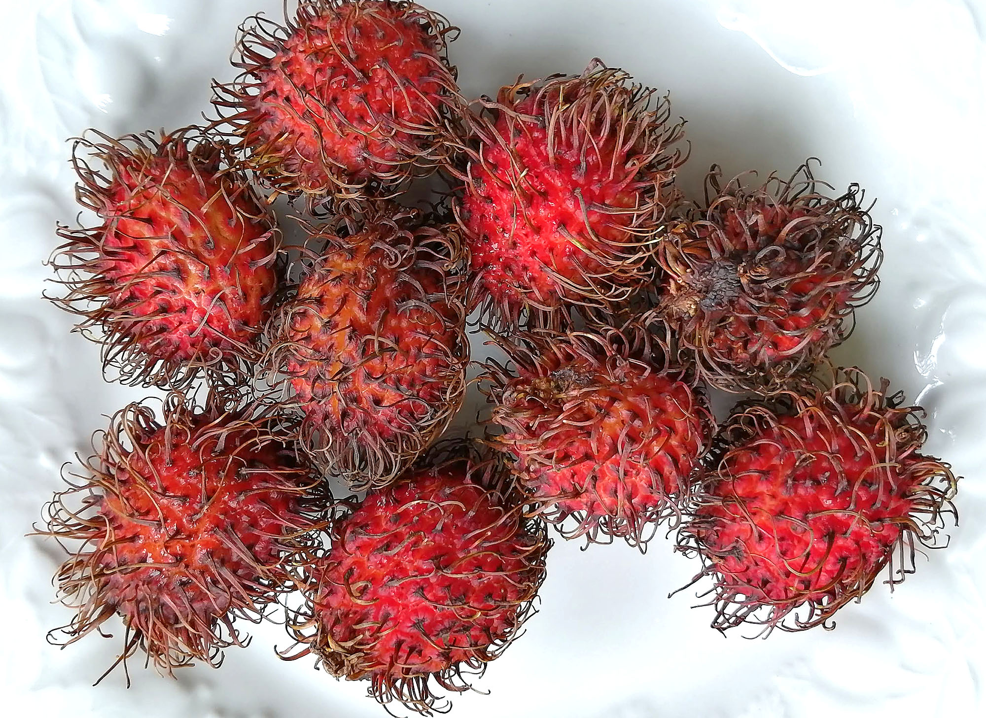 A display of a reddish hairy fruit called â€œrambutanâ€ on a white plate. Photo by Paul Young.