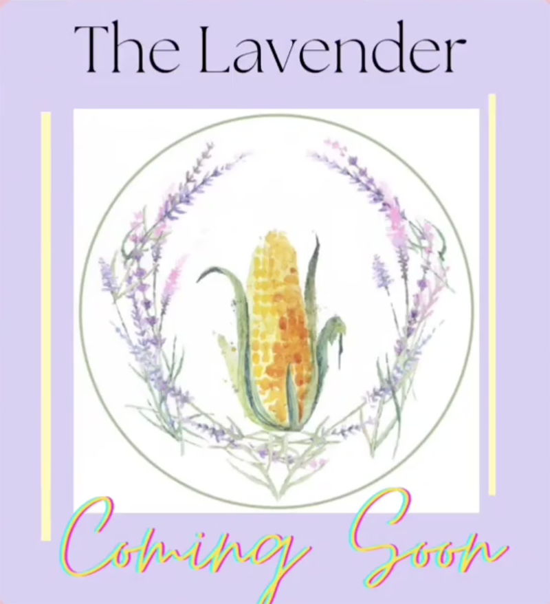 Illustration of The Lavender newsletter with a white square surrounding a circle filled with lavender and corn against a lavender background.